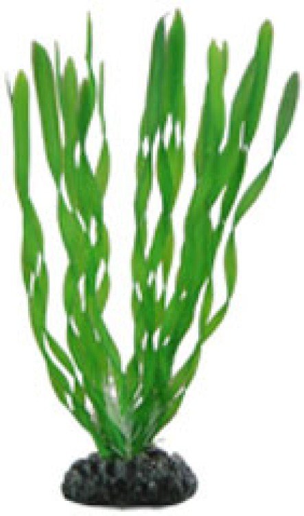 Artificial plant - Vallisneria 20 cm - Shopivet.com