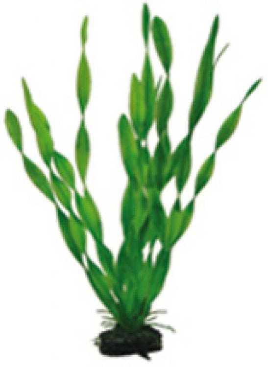 Artificial plant - Vallisneria 34 cm - Shopivet.com