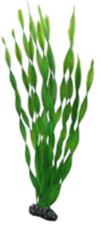 Artificial plant - Vallisneria 46 cm - Shopivet.com