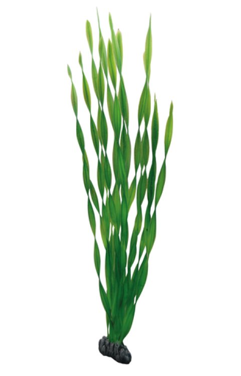 Artificial Plant - Vallisneria 60 cm - Shopivet.com