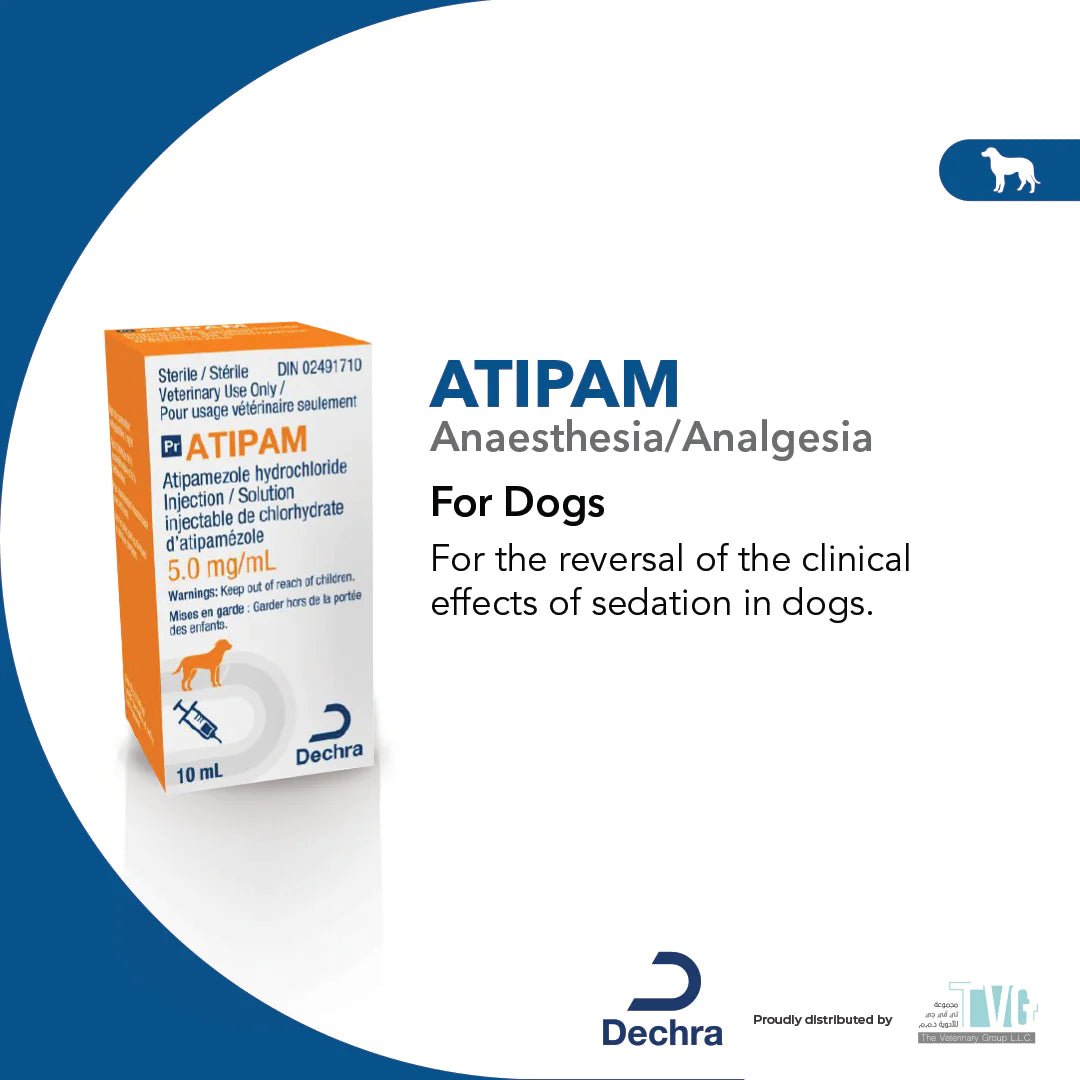 Atipam 5mg/ml Solution for Injection 10ml | shopivet