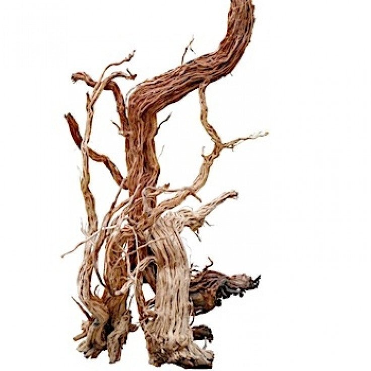 AZALEA WOOD-S SHAPE / 110-120CM / PC - Shopivet.com