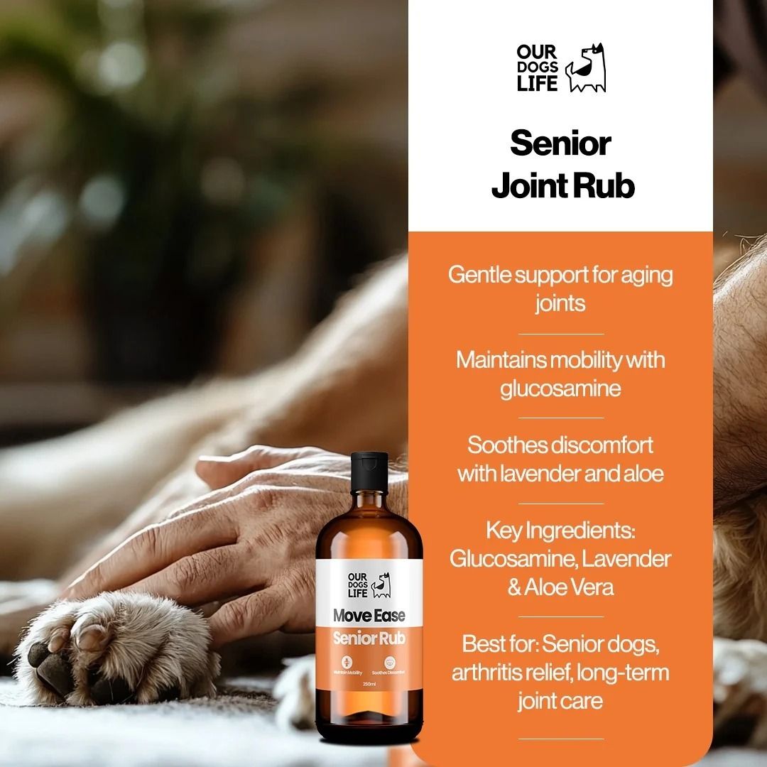 Dogslife Epsom Salt Gel MoveEase Senior Rub 250ml - 250ml
