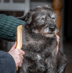 Bamboo Anti-Tangle Comb - Shedding - Shopivet.com