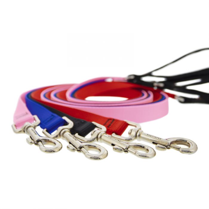 Basic Solids Padded Handle Dog Leash 4ft - red - Shopivet.com