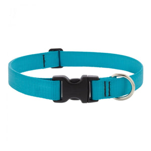 BASICS Adjustable Collar AQUA 1″ FOR LARGE DOGS - 12" - 20" - Shopivet.com