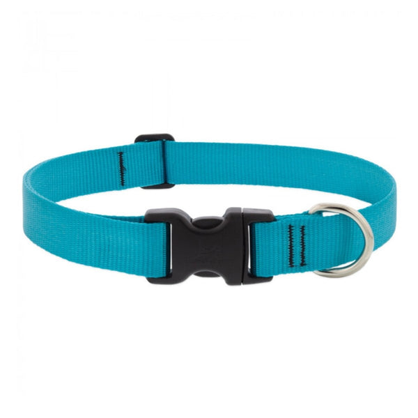 BASICS Adjustable Collar AQUA 1″ FOR LARGE DOGS - 16" - 28" - Shopivet.com