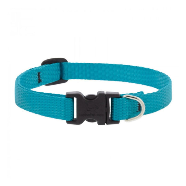 BASICS Adjustable Collar AQUA 1/2″ FOR SMALL DOGS - 10" - 16" - Shopivet.com