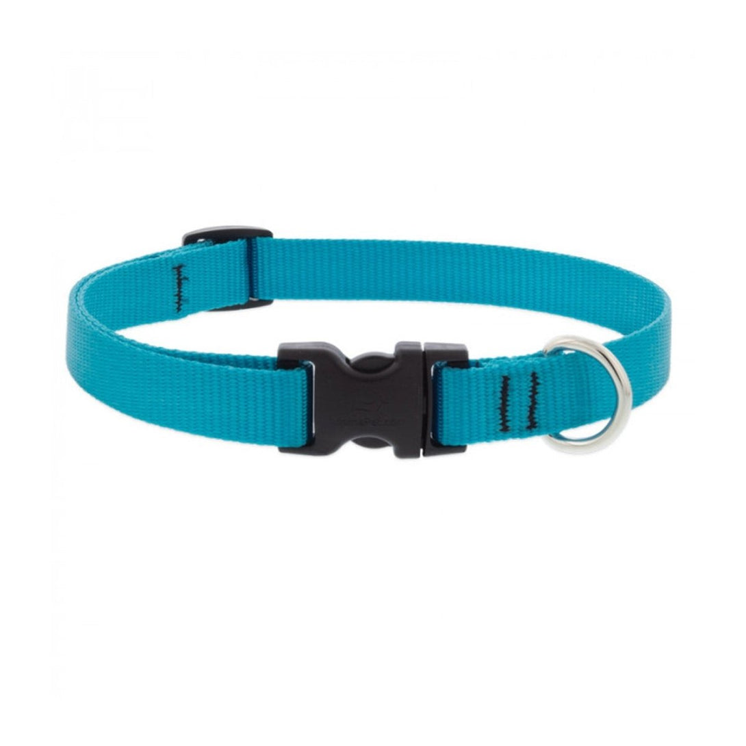 BASICS Adjustable Collar AQUA 3/4″ FOR MEDIUM DOGS - 9" - 14" - Shopivet.com
