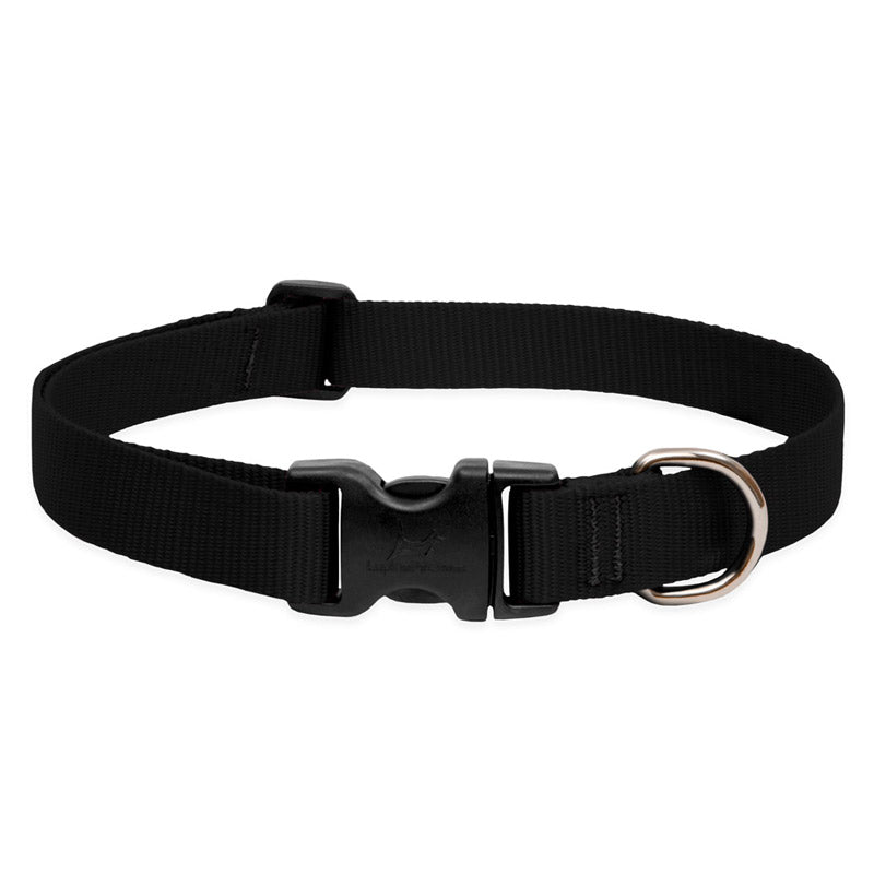 BASICS Adjustable Collar BLACK 1″ FOR LARGE DOGS - 12" - 20" - Shopivet.com
