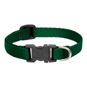 BASICS Adjustable Collar GREEN 3/4″ FOR MEDIUM DOGS - 9" - 14" - Shopivet.com