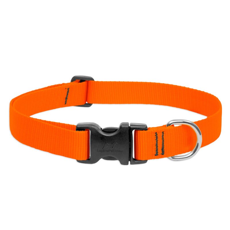 BASICS Adjustable Collar ORANGE 3/4″ FOR MEDIUM DOGS - 13" - 22" - Shopivet.com