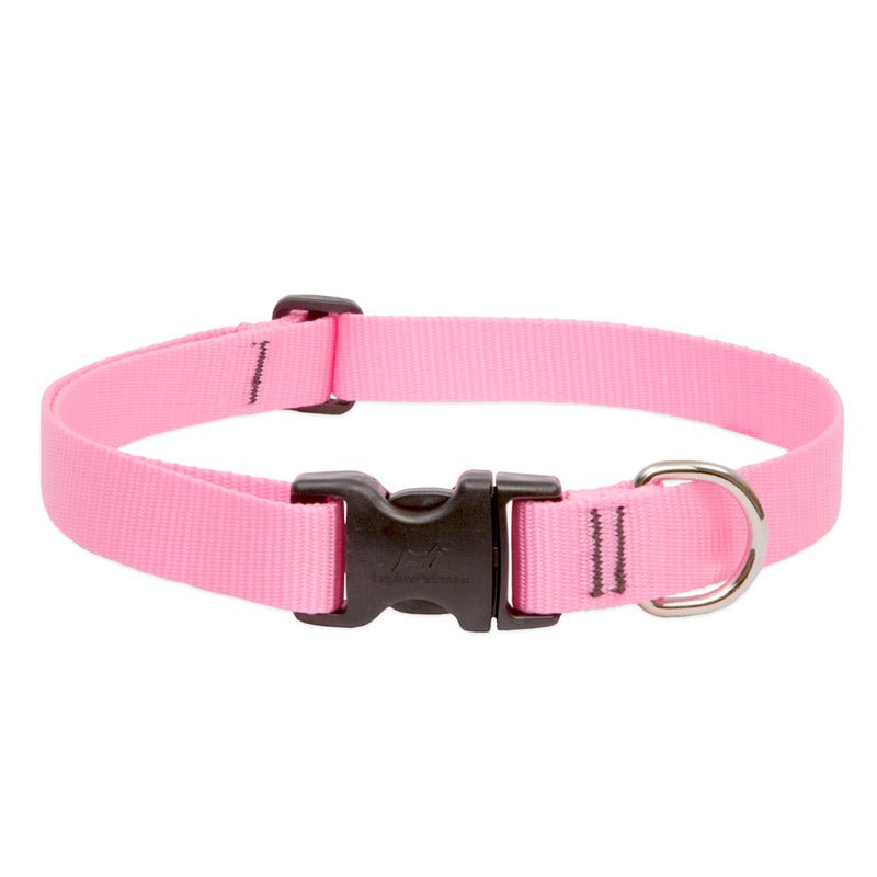 BASICS Adjustable Collar PINK 1″ FOR BIG DOGS - 16" - 28" - Shopivet.com