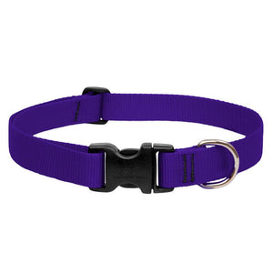 BASICS Adjustable Collar PURPLE 3/4″ FOR MEDIUM DOGS - 9" - 14" - Shopivet.com
