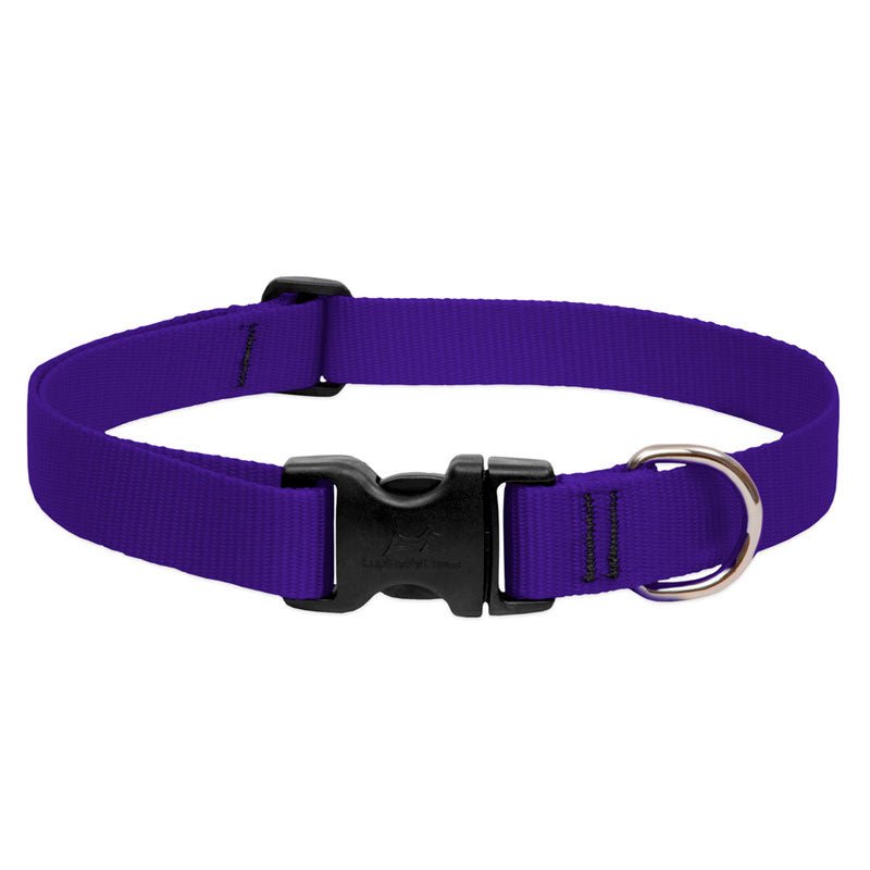 BASICS Adjustable Collar PURPLE 3/4″ FOR MEDIUM DOGS - 9" - 14" - Shopivet.com