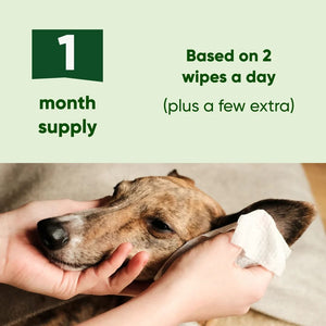 Beco Dog Ear Wipes 70 Coconut Scented Wipes 15 x 12cm -