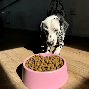 Beco Steady Food & Water Dog Bowl - Pink Large