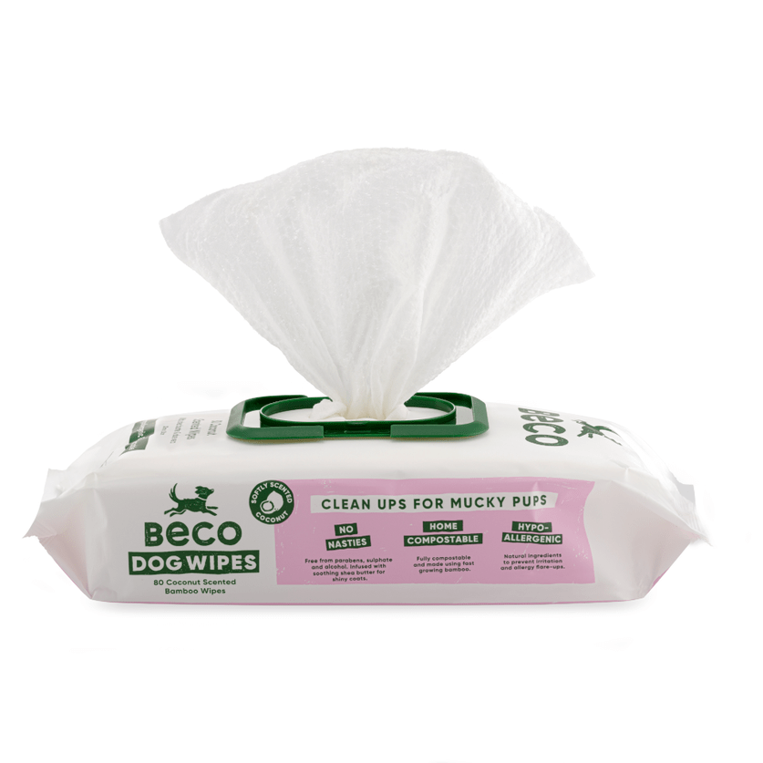 Beco Bamboo Coconut Scented Dog Wipes - Shopivet.com