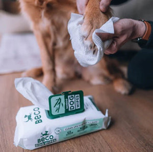 Beco Bamboo Unscented Dog Wipes - Shopivet.com
