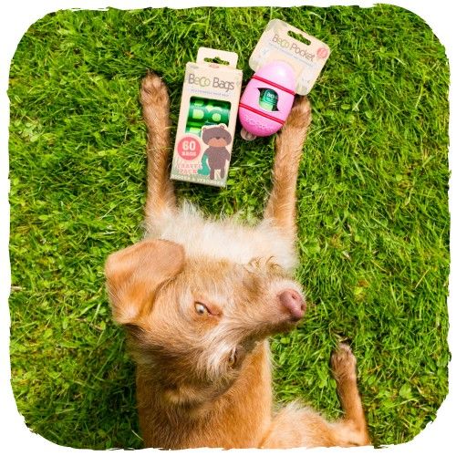 Beco Pets Pocket Eco - Friendly Poop Bag Dispenser - GREEN - Shopivet.com