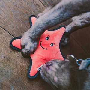 Beco Pets Rough & Tough Starfish Recycled Dog Toy - ORANGE LARGE - Shopivet.com