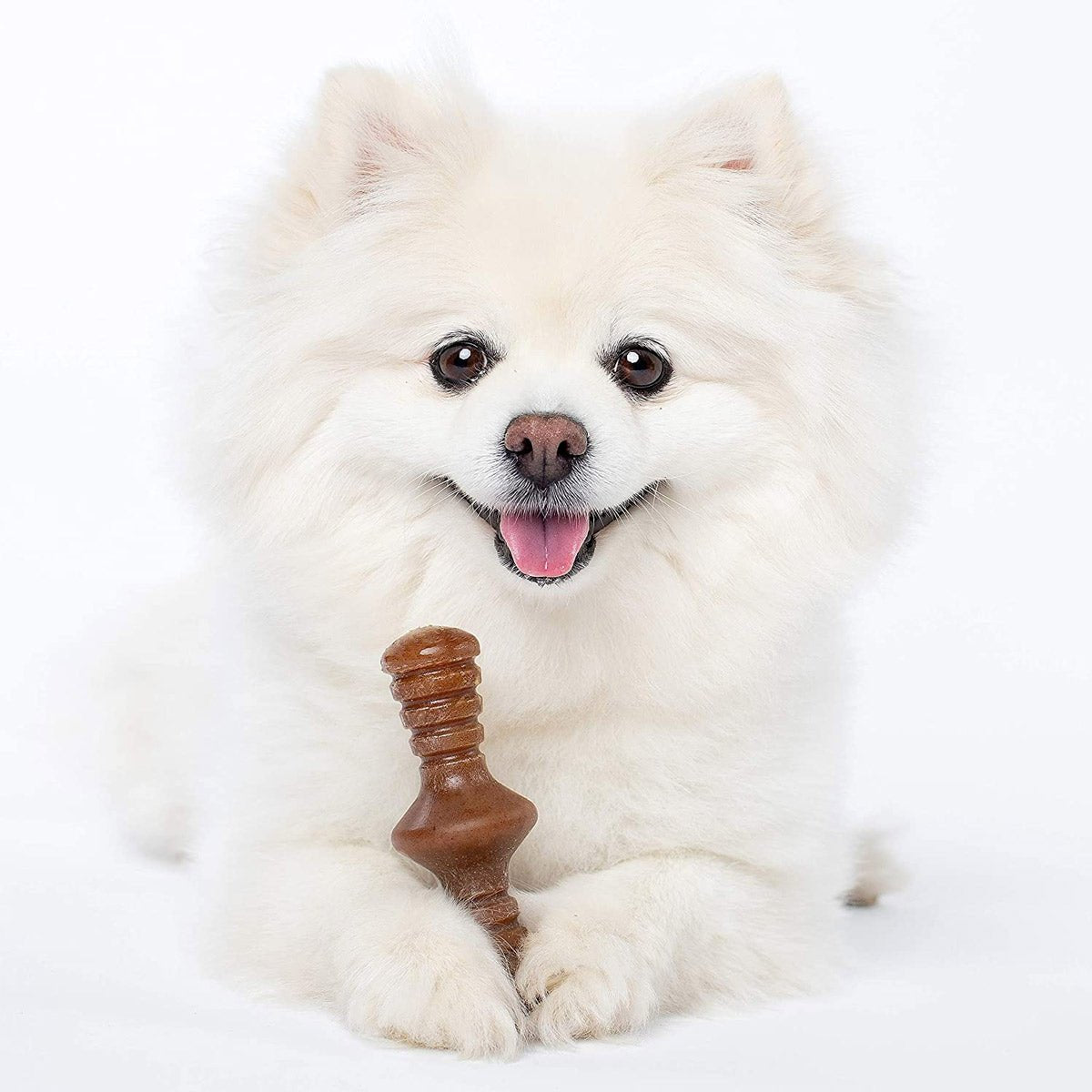 Benebone 2 - Pack Maplestick/Zaggler (Tiny) – Bacon - Shopivet.com