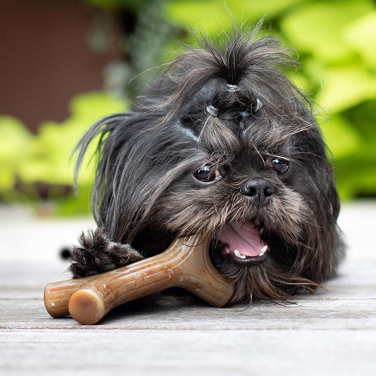 Benebone Bacon Stick Dog Chew Toy - Giant - Shopivet.com