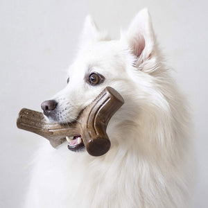Benebone Bacon Stick Dog Chew Toy - Medium - Shopivet.com
