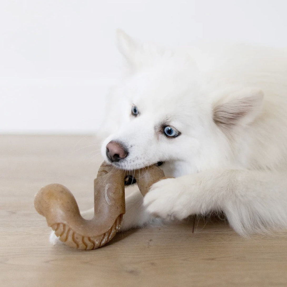 Benebone Beef Tripe Bone - Large - Shopivet.com