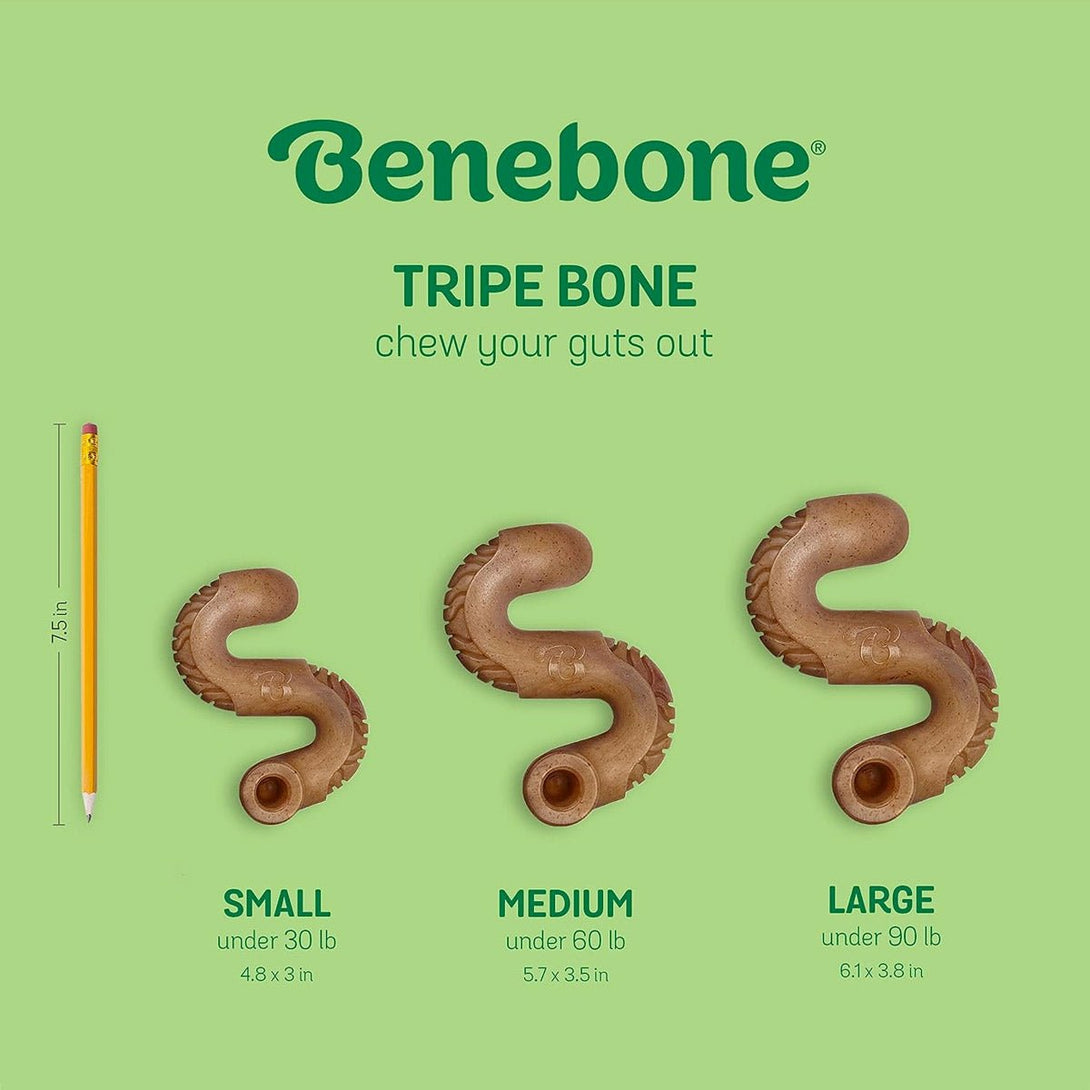 Benebone Beef Tripe Bone - Medium - Shopivet.com