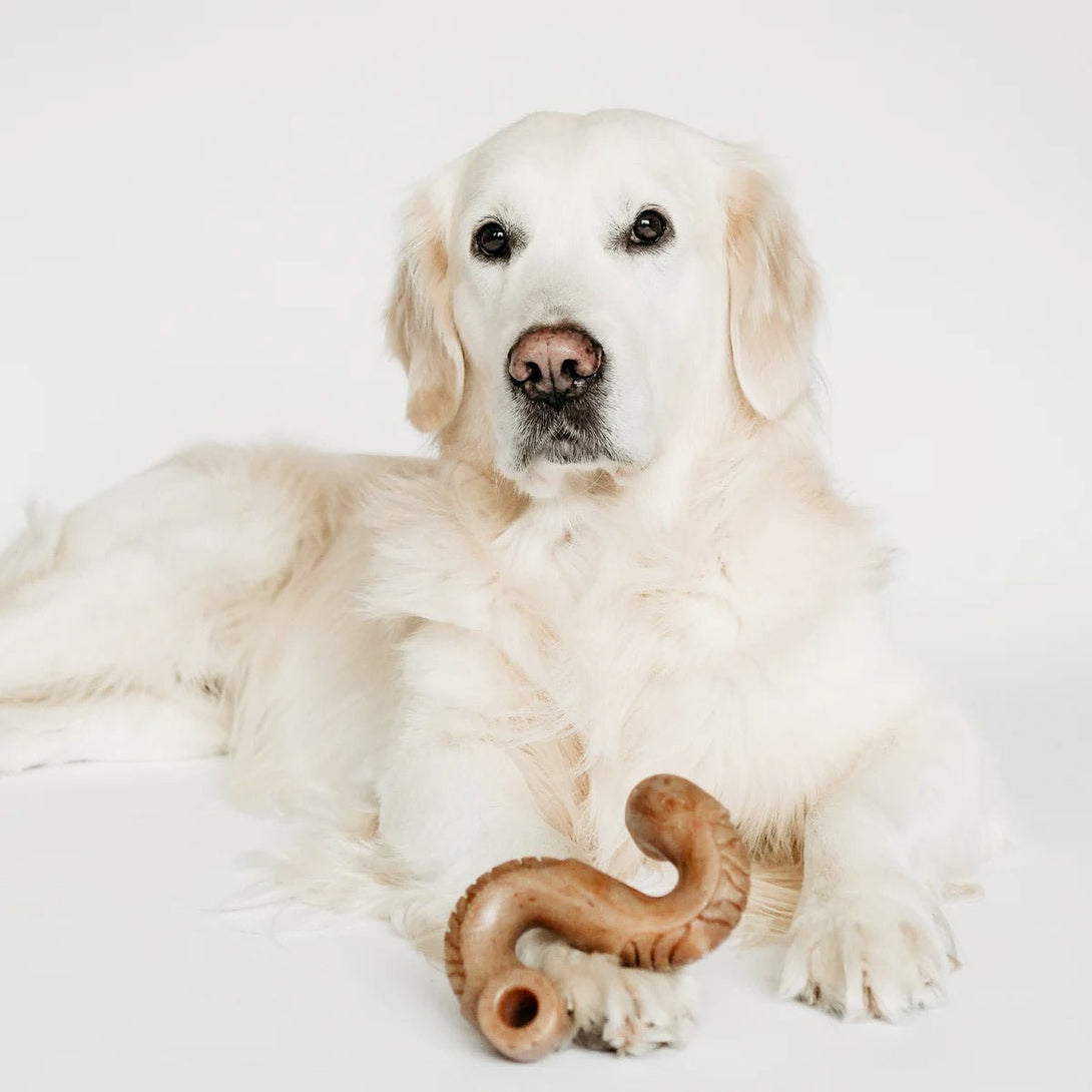 Benebone Beef Tripe Bone - Small - Shopivet.com