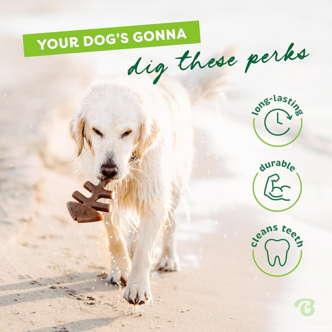 Benebone Dental Chew Fishbone Jack Salmon (Tiny) – 2 pack - Shopivet.com