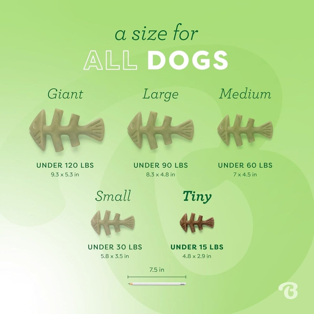 Benebone Dental Chew Fishbone Jack Salmon (Tiny) – 2 pack - Shopivet.com