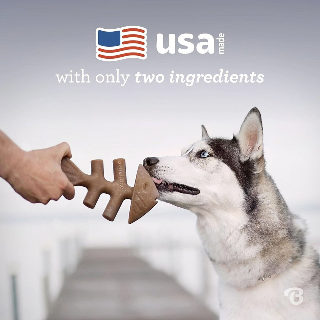 Benebone Dental Chew Fishbone Jack Salmon (Tiny) – 2 pack - Shopivet.com