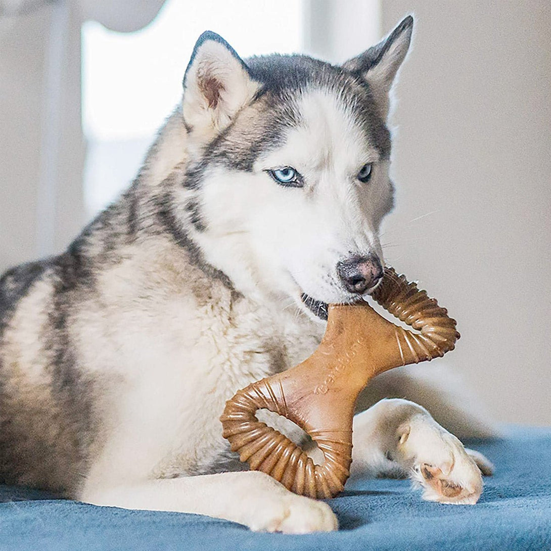 Benebone Dental Dog Chew Toy – Bacon - Medium - Shopivet.com