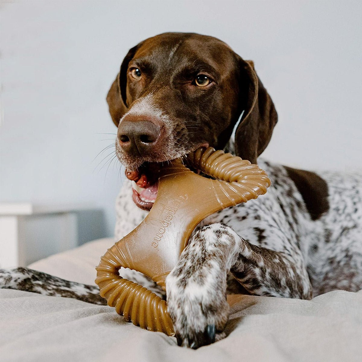 Benebone Dental Dog Chew Toy – Bacon - Small - Shopivet.com