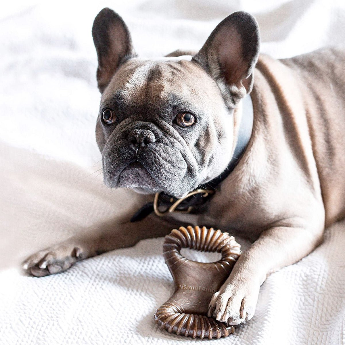 Benebone Dental Dog Chew Toy – Peanut - Large - Shopivet.com