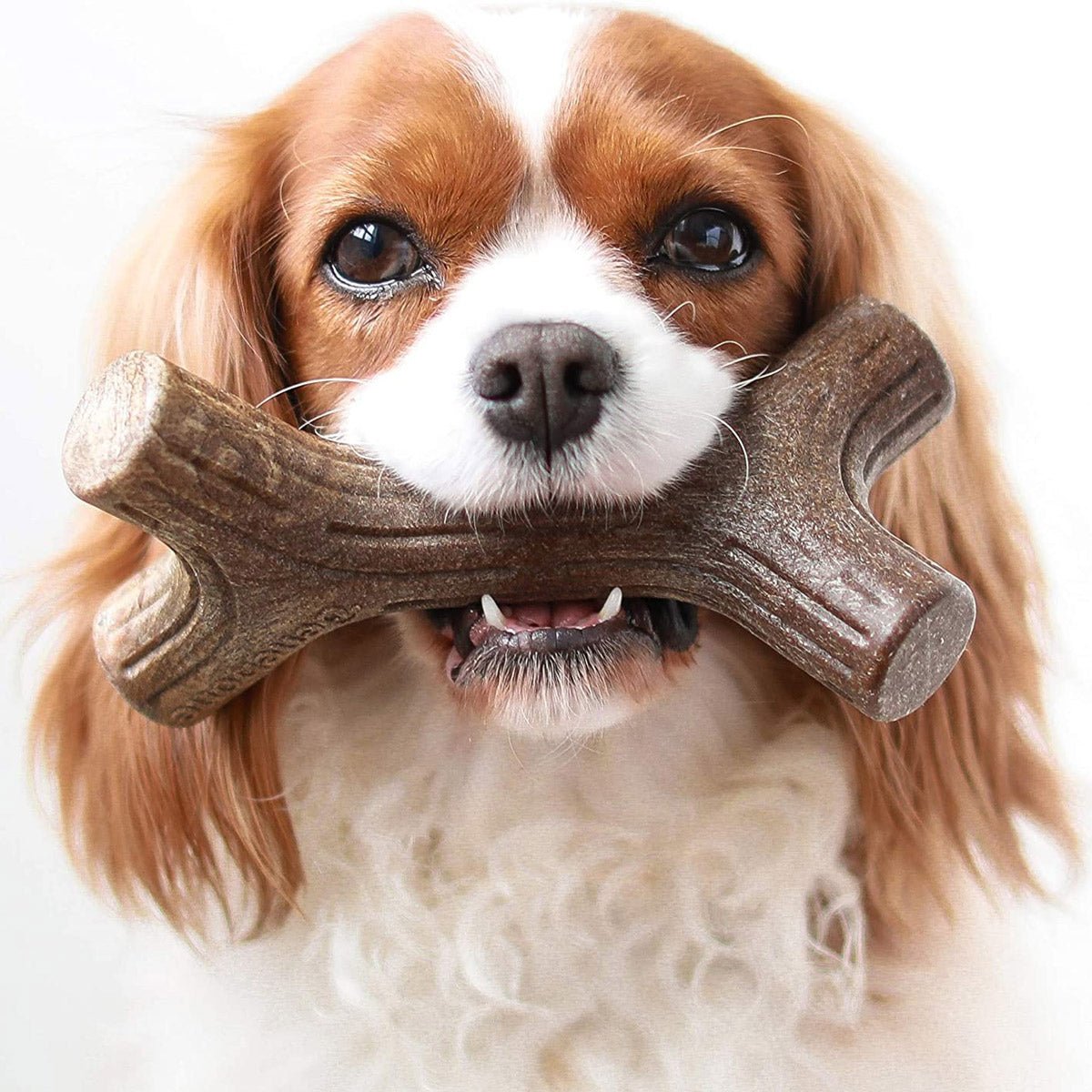 Benebone Maplestick Chew Dog Toy - Giant - Shopivet.com