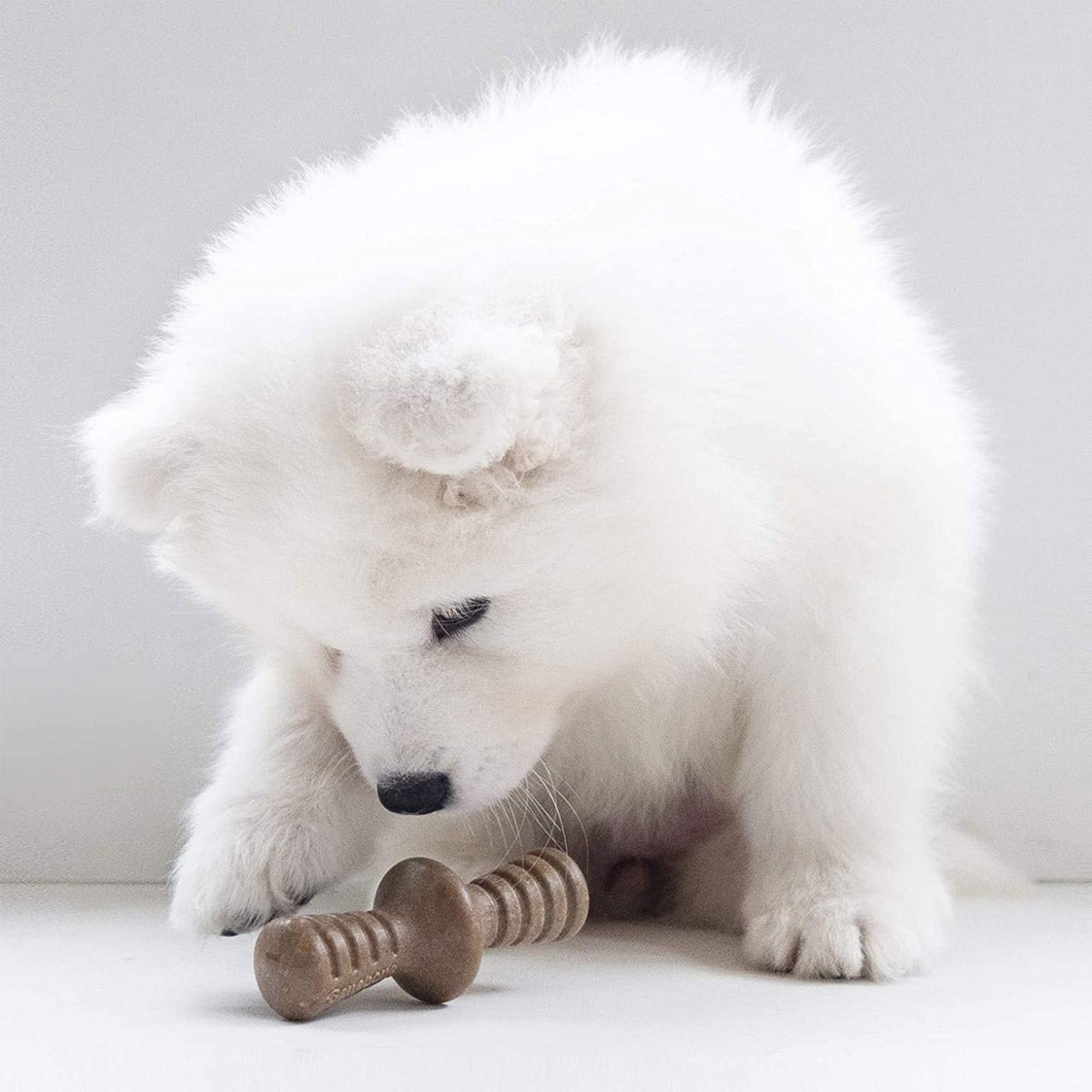 Benebone Puppy 2 - Pack Maplestick/Zaggler (Tiny) – Bacon - Shopivet.com