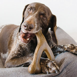 Benebone Wishbone Dog Chew Toy – Bacon - Large - Shopivet.com