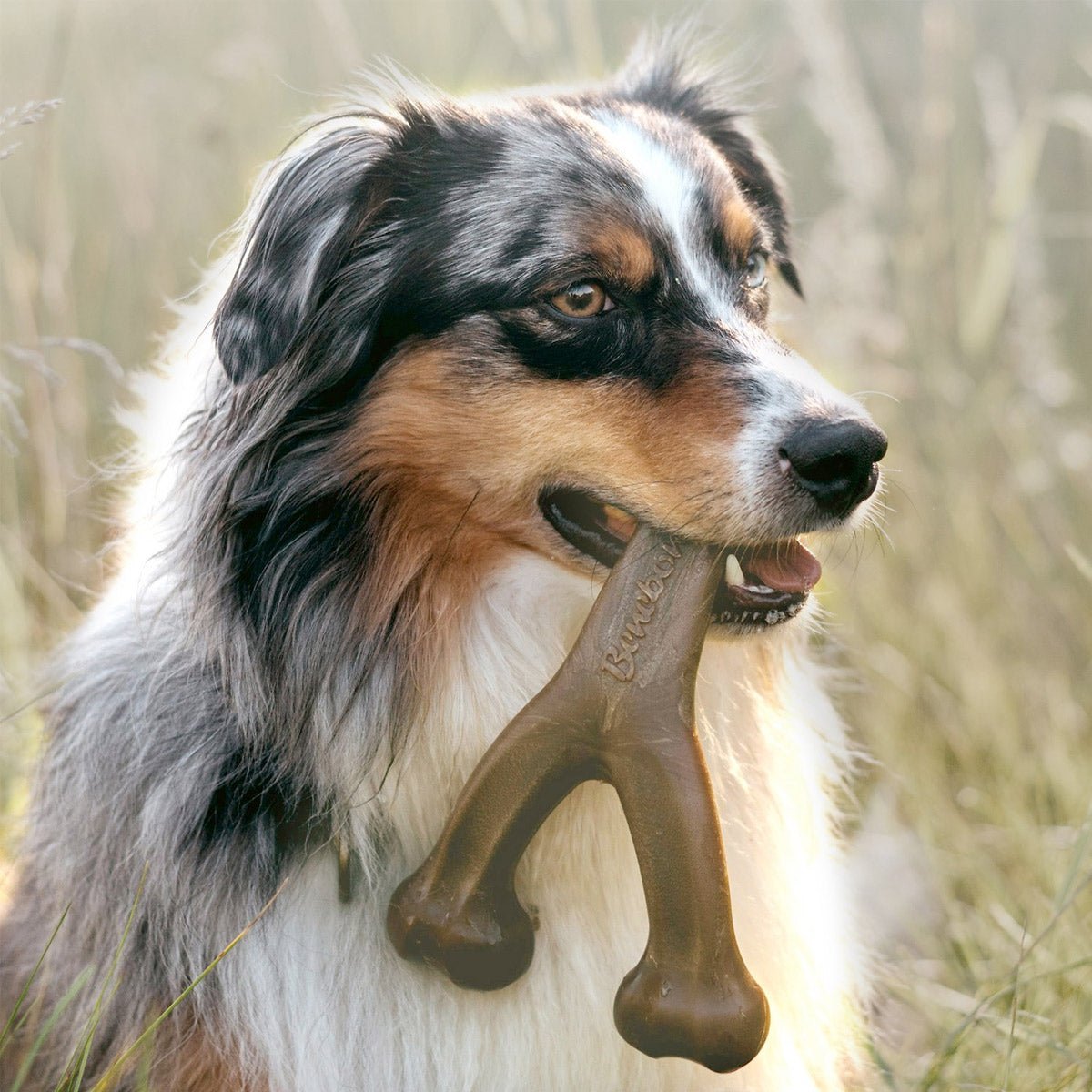 Benebone Wishbone Dog Chew Toy – Bacon - Small - Shopivet.com