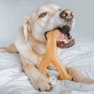 Benebone Wishbone Dog Chew Toy – Chicken - Medium - Shopivet.com