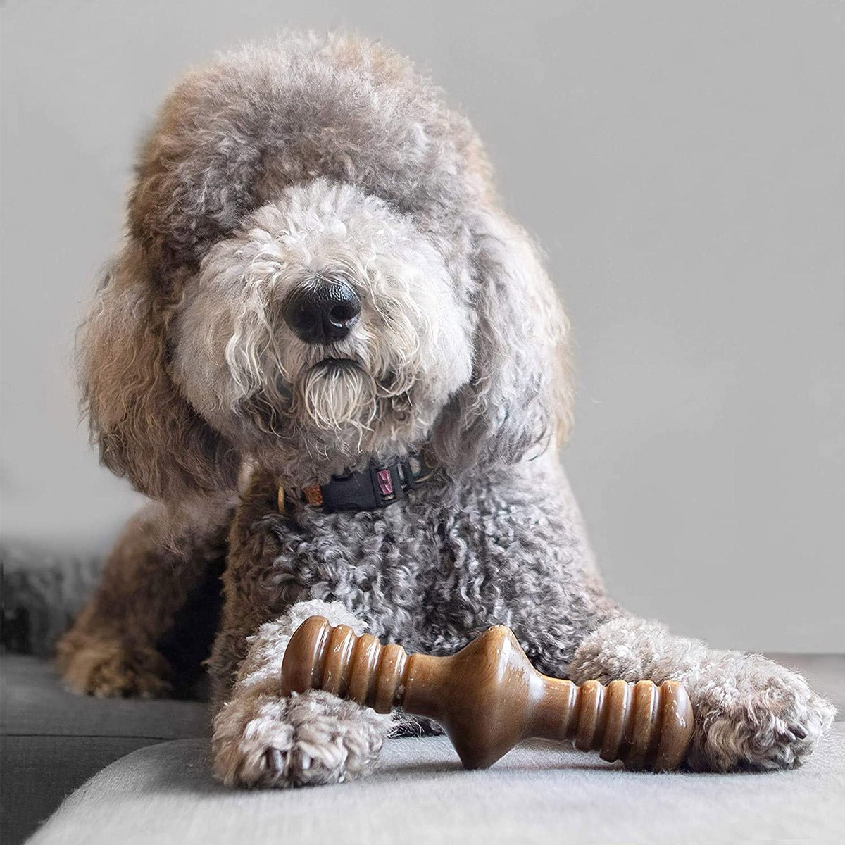 Benebone Zaggler Dog Chew Toy – Bacon - Medium - Shopivet.com