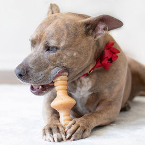 Benebone Zaggler Dog Chew Toy – Chicken - Giant - Shopivet.com