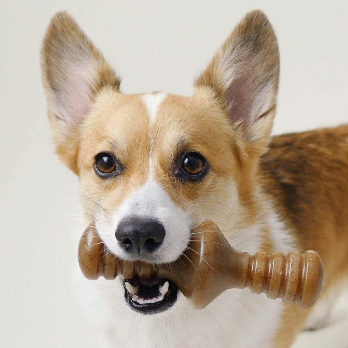 Benebone Zaggler Dog Chew Toy – Chicken - Large - Shopivet.com