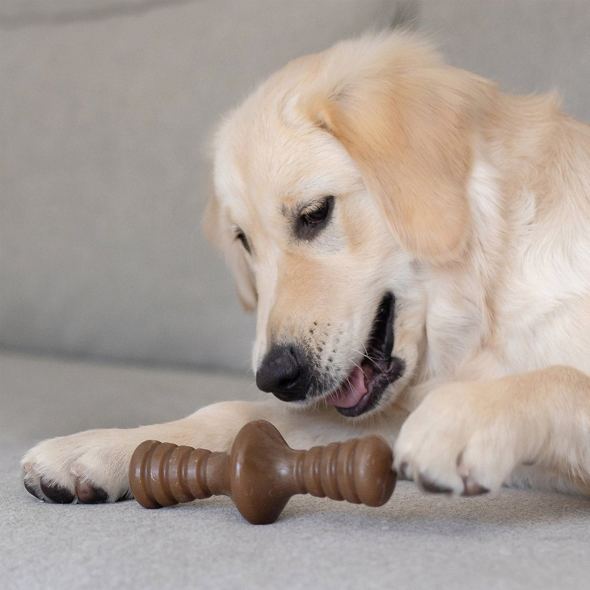 Benebone Zaggler Dog Chew Toy – Peanut - Giant - Shopivet.com