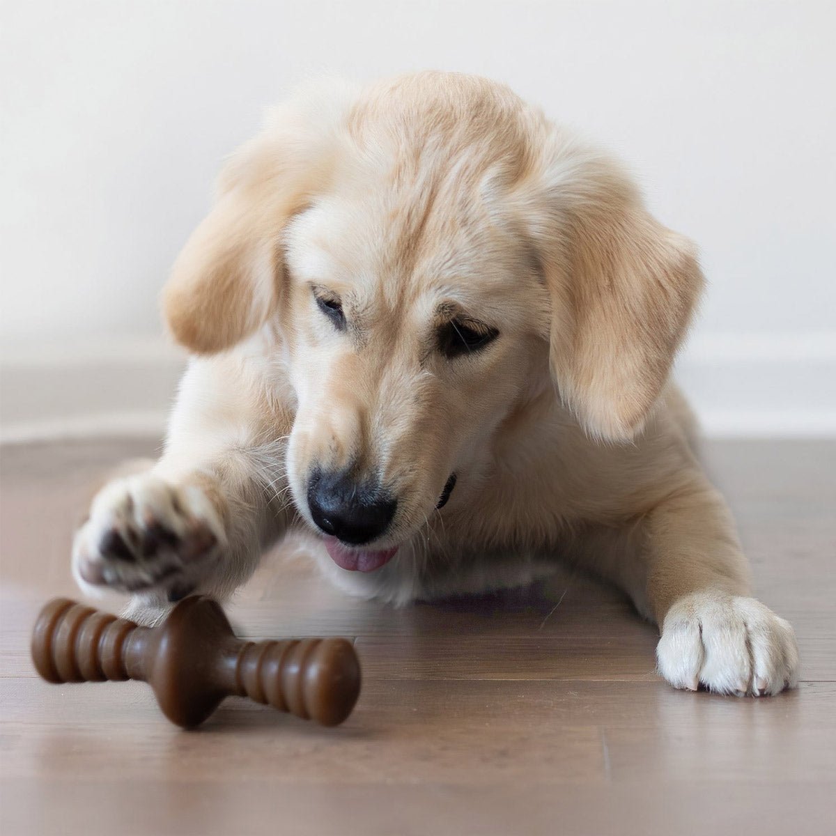 Benebone Zaggler Dog Chew Toy – Peanut - Large - Shopivet.com