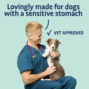 Barking Heads Tummy Loving Care Fish Dry Dog Food - 2kg