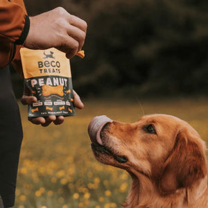 Beco Peanut with Coconut & Turmeric Dog Treats 70g - 70g