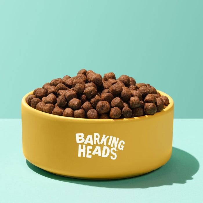 Barking Heads All Hounder Hair Necessities Salmon Dry Dog Food - 2kg
